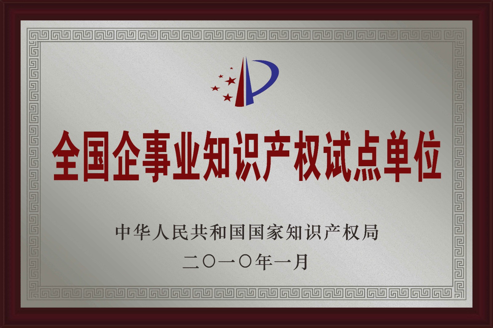 06-全國企事業(yè)單位知識產(chǎn)權試點單位.jpg